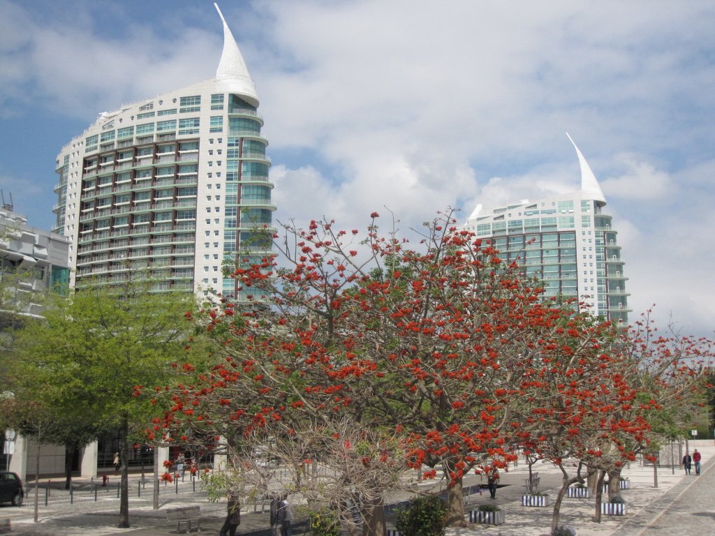 34-Modern buildings in Parque das Nações.jpg - Modern buildings in Parque das Nações